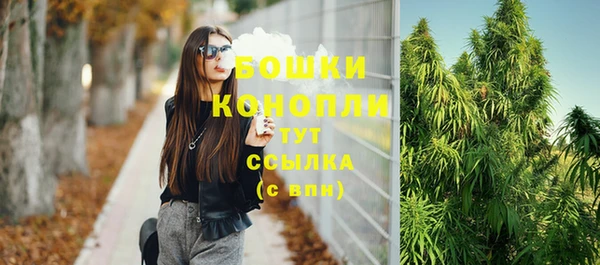 стаф Лихославль