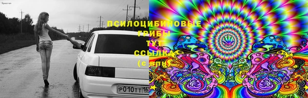стаф Лихославль
