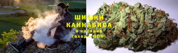 стаф Лихославль
