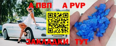 стафф Гатчина
