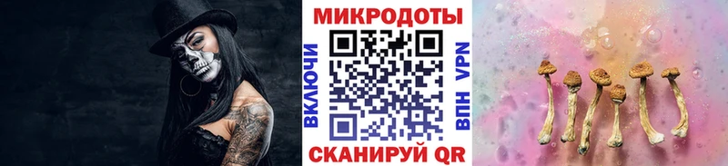 Галлюциногенные грибы Psilocybine cubensis  Электросталь 