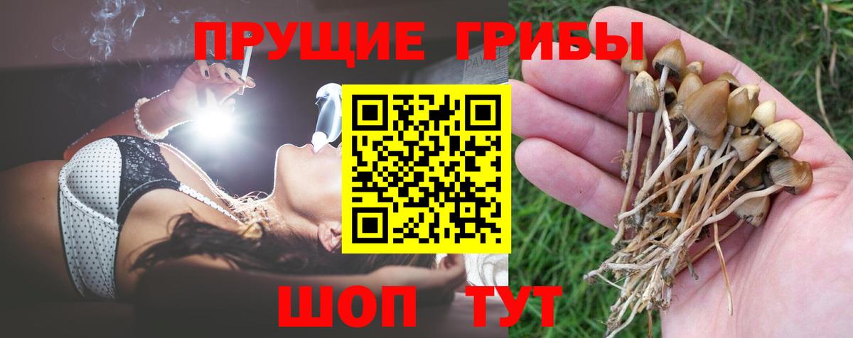 Псилоцибиновые грибы MAGIC MUSHROOMS Электросталь