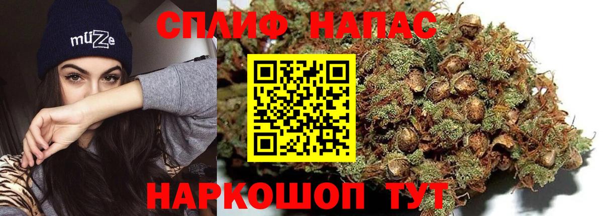 Бошки Шишки марихуана  Бошки марихуана тримм  Электросталь  МАРИХУАНА Ganja  Шишки марихуана планчик  Вход с VPN 